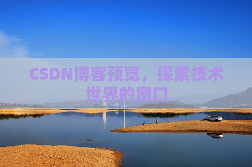 CSDN博客预览，探索技术世界的窗口